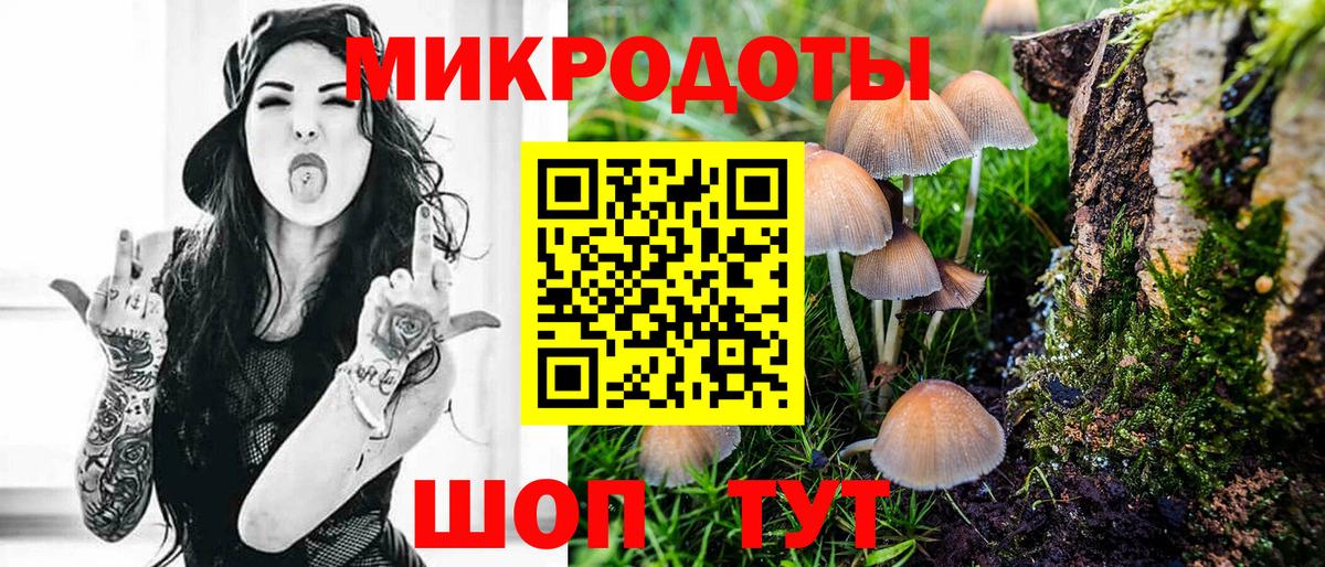 Псилоцибиновые грибы GOLDEN TEACHER Прокопьевск