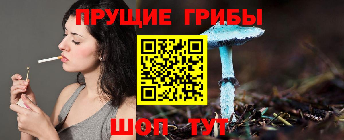 Галлюциногенные грибы Magic Shrooms  Вход с VPN  Прокопьевск 